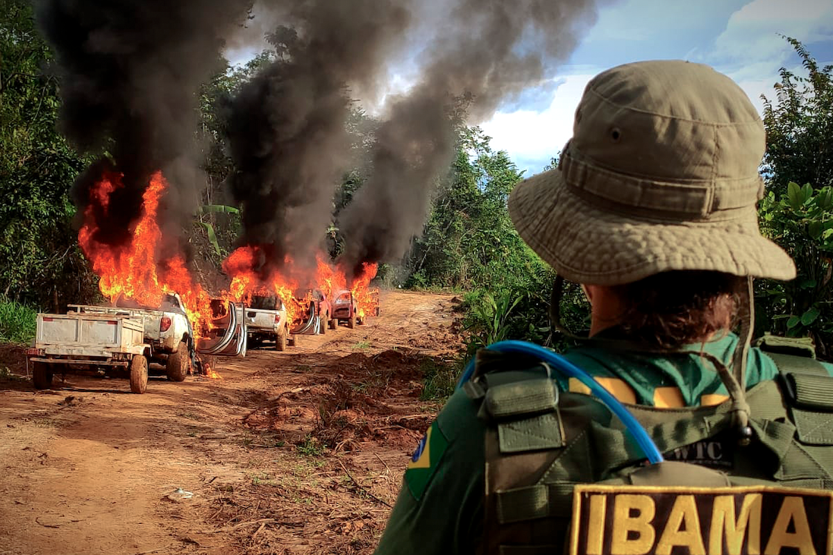As Brazil Cracks Down on Forest Clearing, Emissions Fall
