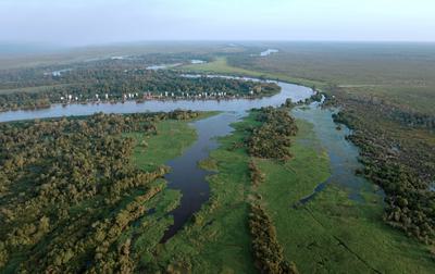 Wetlands in Central Kalimantan, Indonesia. Warmer, wetter conditions are driving spikes in emissions from wetlands.