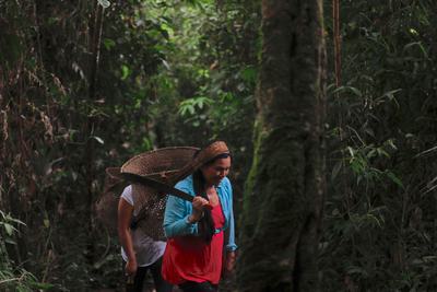 Magdalena Santi, a Native Kichwa, leads her daughter through the forest in Sarayaku, Ecuador.