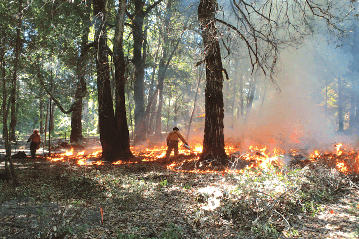 In a First, California Tribe May Freely Burn Its Ancestral Lands