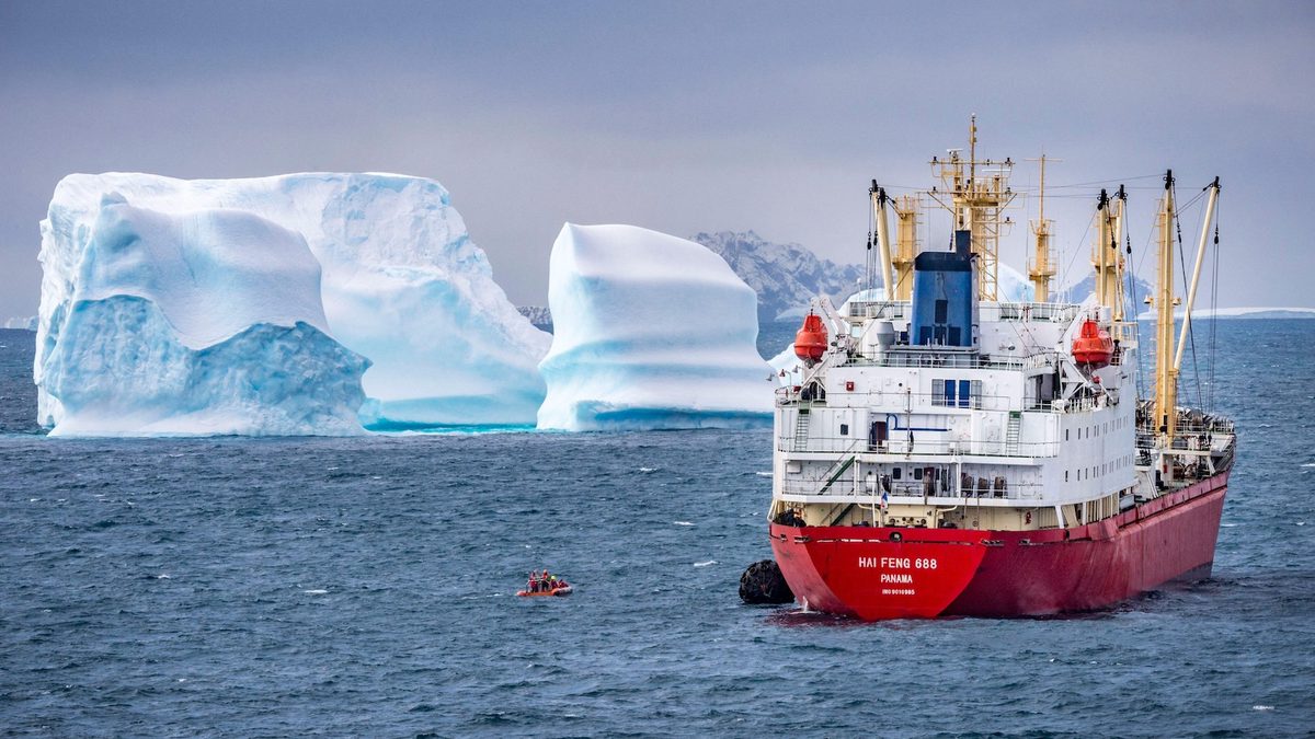 Supertrawlers Are Competing with Whales for Antarctic Krill