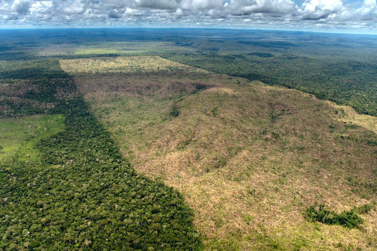 Push to Rewild in Wealthy Countries Fueling Destruction in Poorer Ones
