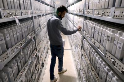 The ICARDA gene bank in Bekaa Valley, Lebanon, is stocked with seeds from a bank in Aleppo, Syria.