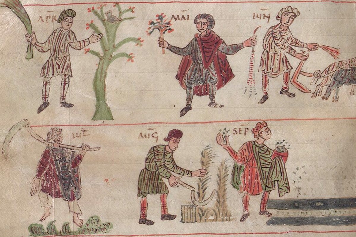 Medieval Farms Were a Boon for Biodiversity, Study Finds