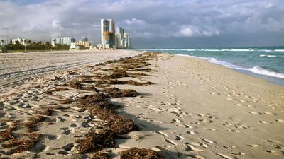 Miami Beach, Florida.