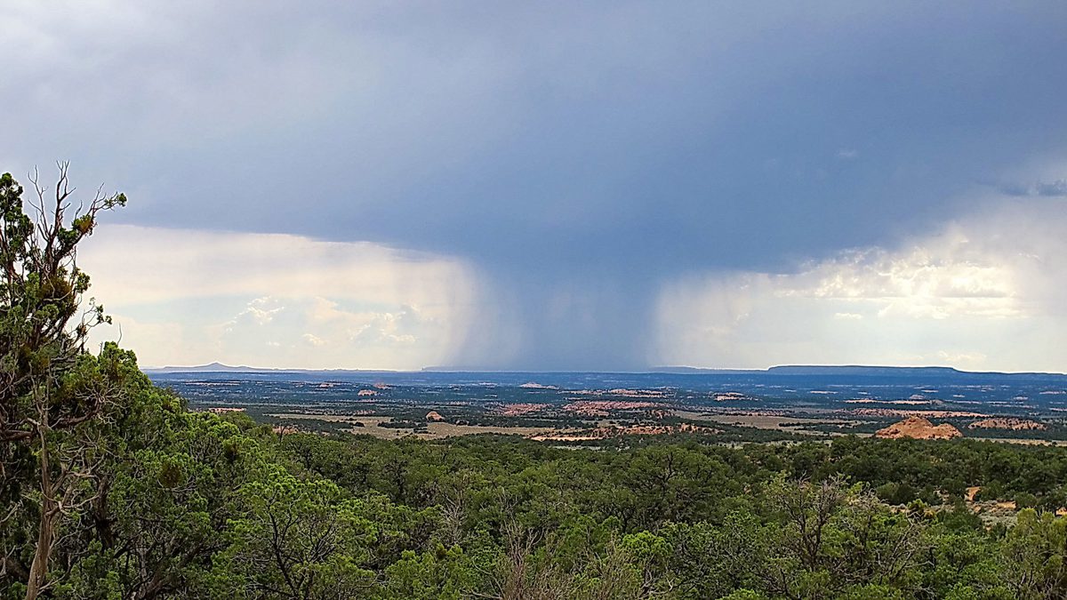 Mayson Rains Monsoon Rains Have Become More Intense in the U.S. Southwest - Yale E360
