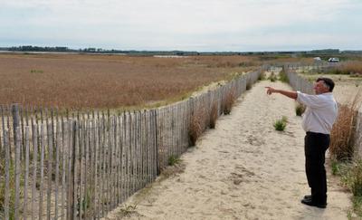 Refuge manager Al Rizzo looks over an area planted with native Spartina grasses.