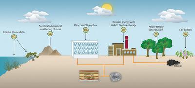 Negative Emissions Technologies (NETs) range from low-tech, such as planting more trees, to more high-tech options, such as developing machines to scrub CO2 from the air.