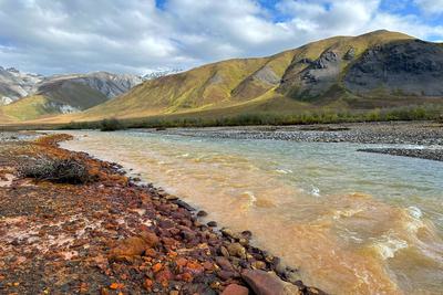 Alaska's Rivers Show Increasing Acidity, Linked to Climate Change