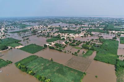 Flooded farmland in Pubjab Province in early September.