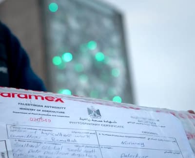 Left: A shipment of seeds from the West Bank arrives at the Svalbard Global Seed Vault. Right: Grains of sorghum and roselle from Sudan are prepared to be deposited in the vault.