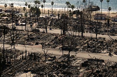 Homes destroyed in the Palisades Fire in Los Angeles in January.