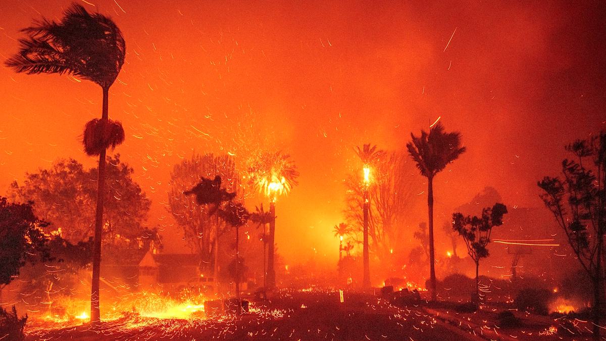 Whiplash: How Big Swings in Precipitation Fueled the L.A. Fires