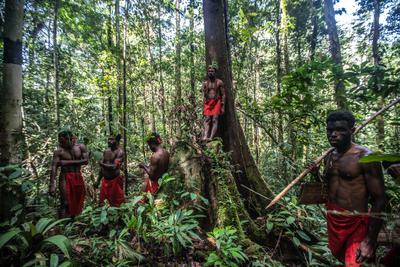 Indigenous Thit men guard their forest in Southwest Papua, Indonesia.