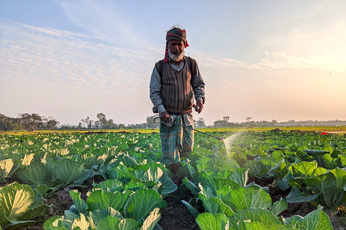 Nearly Half of Farmers Globally Poisoned by Pesticides Each Year