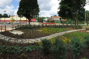 A rain garden manages stormwater runoff in Philadelphia's Germantown section.