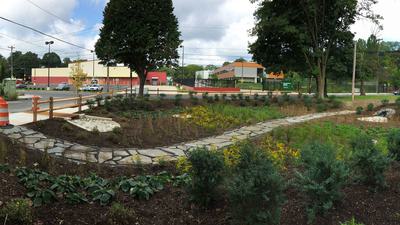 A rain garden manages stormwater runoff in Philadelphia's Germantown section.