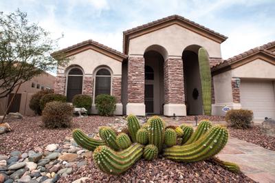 Phoenix homeowners have scrapped lawns for desert landscaping and artificial turf to reduce water use. City residents use 30 percent less water per capita than they did 20 years ago.