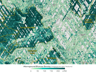 Protected areas, outlined in yellow, in a swath of the Brazilian Amazon are richer in trees than are other areas.