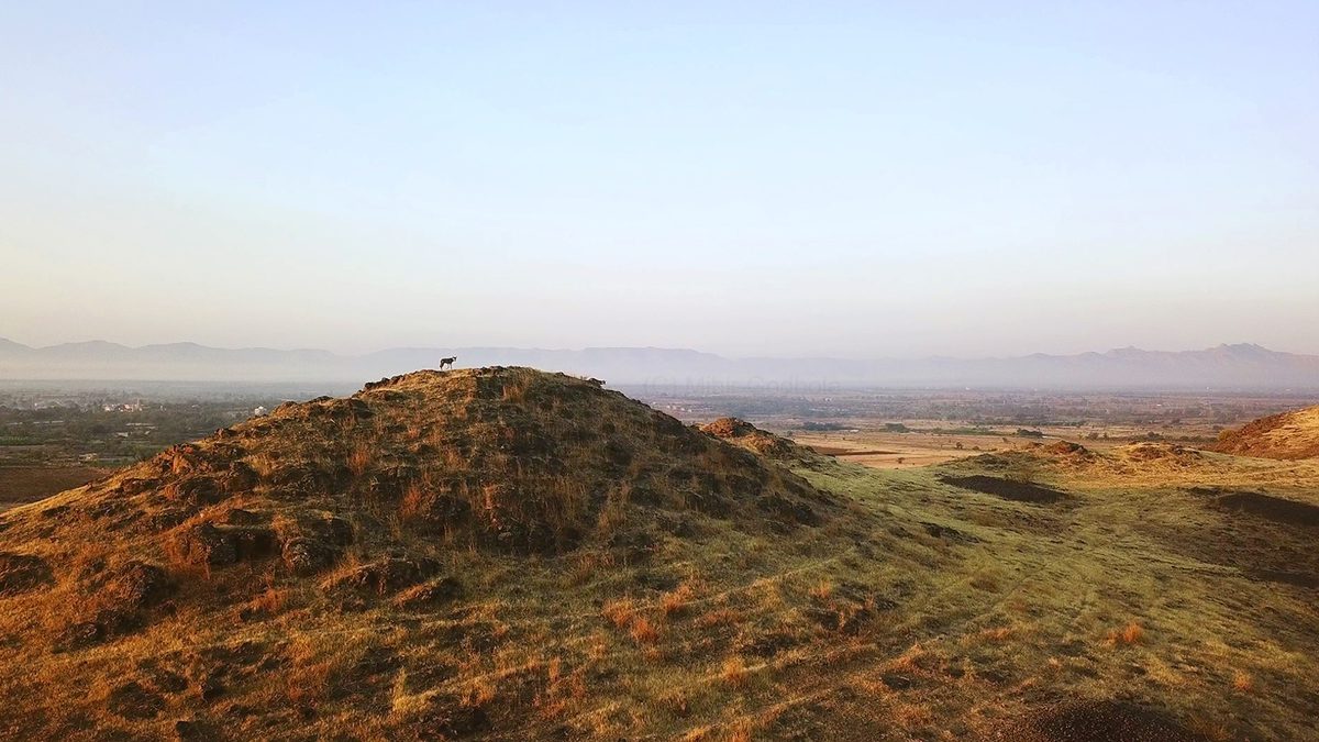 Thumbnail for 'Wastelands' No More: India Charts a Future for Its Grasslands