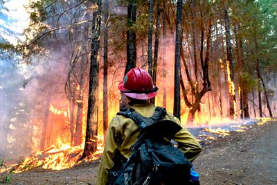 A firefighter in Mendocino National Forest, California.