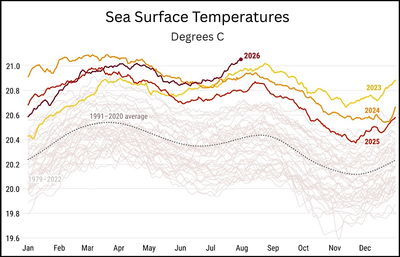 Daily sea surface temperatures between the 60th parallel south and 60th parallel north.