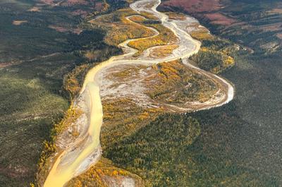 The Salmon River in Alaska turning orange in 2020.