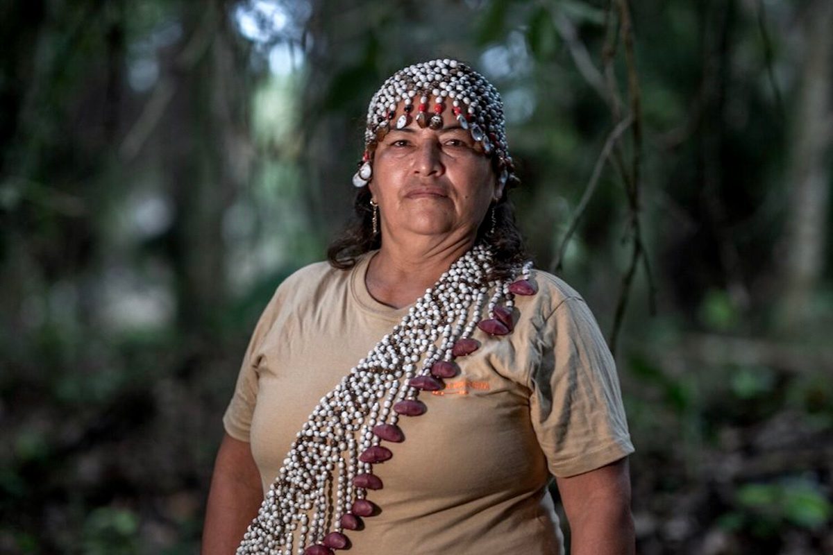 At Least 124 Environmental Defenders Killed Worldwide Last…