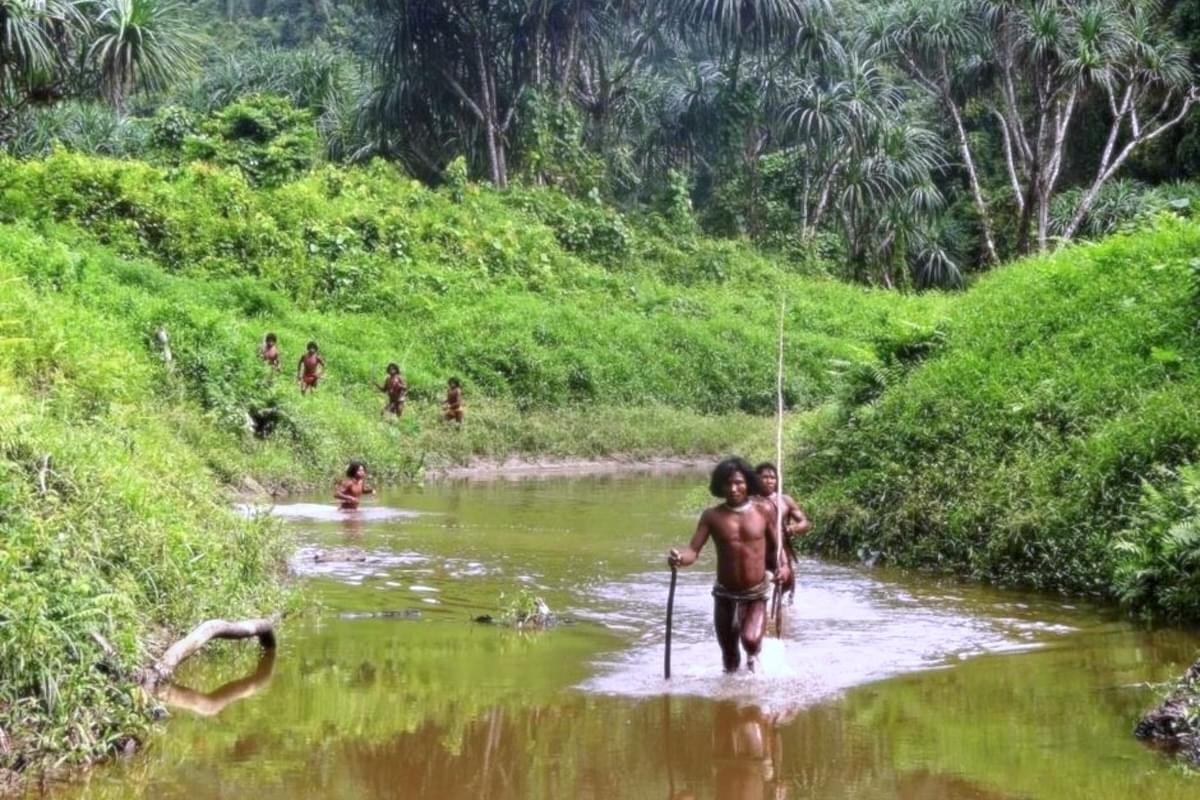 Planned Indian Mega-Port Could 'Wipe Out' Isolated Tribe