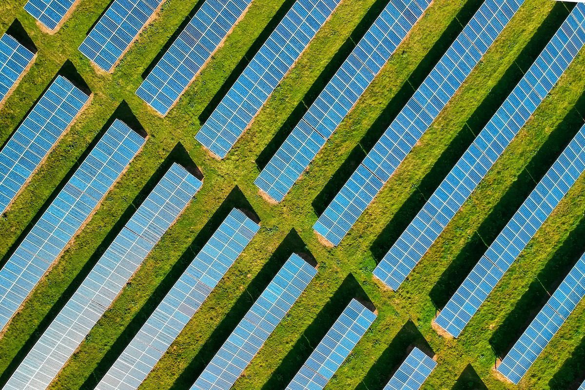 photo of Growth of Wind and Solar Keeping Fossil Power in Check image