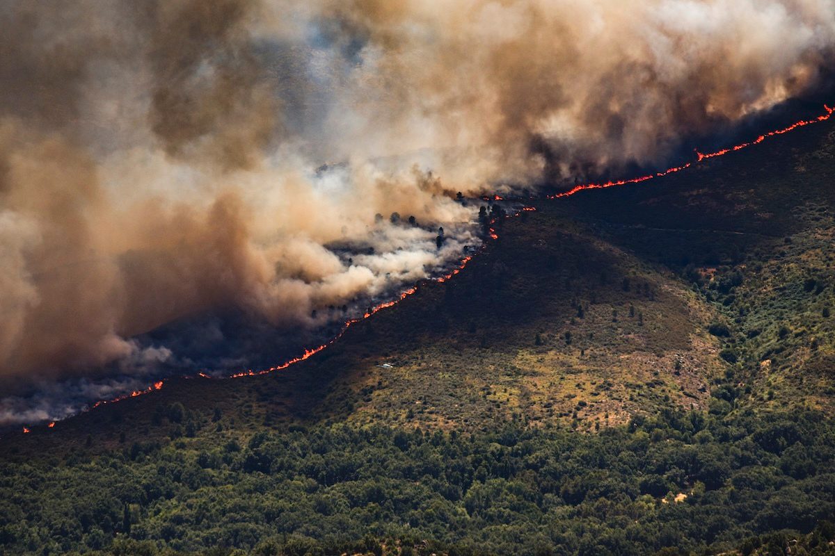 Weather Whiplash Fueled Devastating Wildfires in France and…