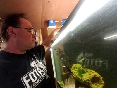 Greg Steeves, who keeps at-risk species in the basement of his Texas home, is a member of the CARES Fish Preservation Program, a hobbyist group.