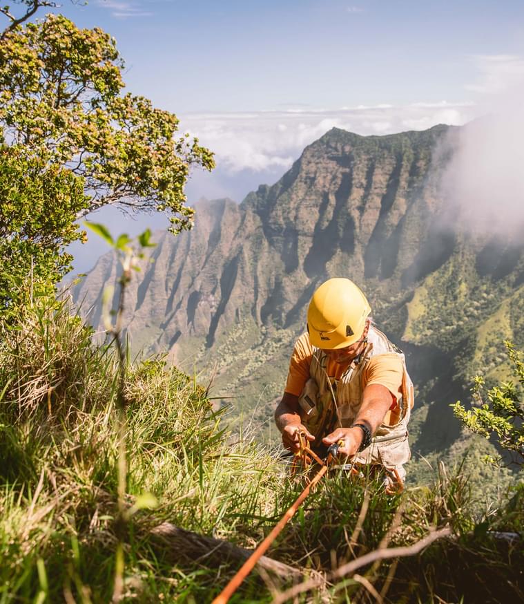 Last-Ditch Conservation