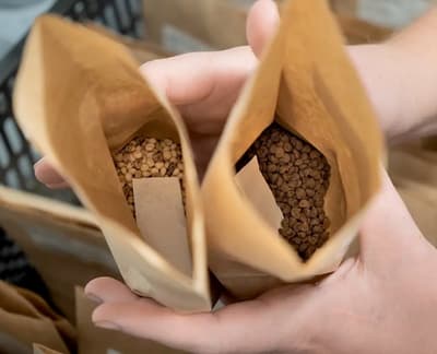 Left: A shipment of seeds from the West Bank arrives at the Svalbard Global Seed Vault. Right: Grains of sorghum and roselle from Sudan are prepared to be deposited in the vault.