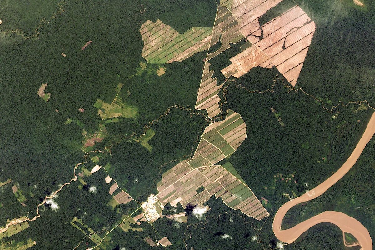 photo of As Deforestation Falls in Brazil, It Surges in Neighboring Bolivia image