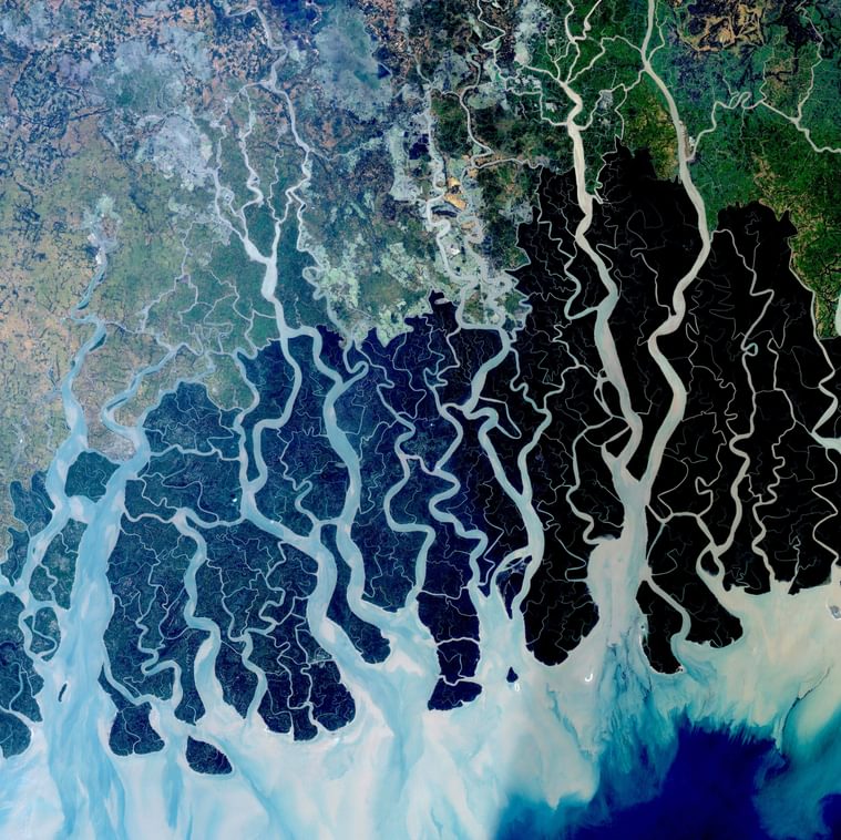 New Tools for Conservation