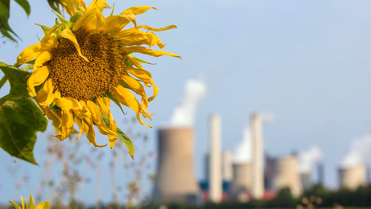 Humans Are Changing How Nature Smells, With Risks for…