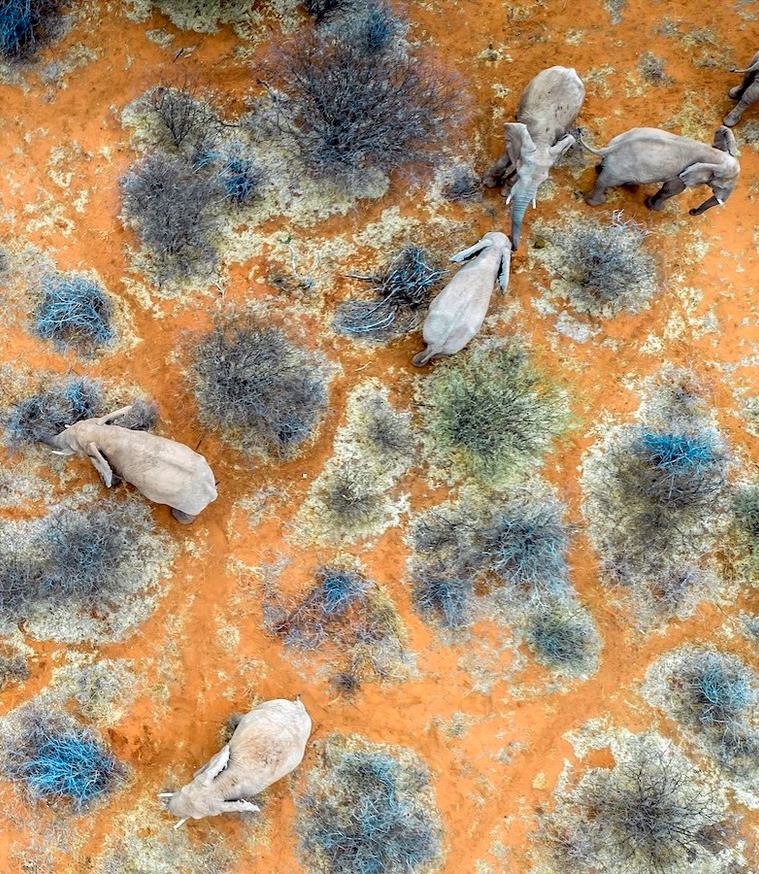 High-Tech Conservation