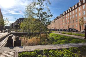 A garden built to absorb rainwater in Tåsinge Square in Copenhagen, Denmark.