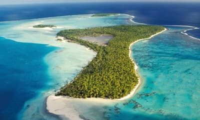 Tetiaroa Atoll in French Polynesia, where conservationists are working to restore forest and bring back seabirds.