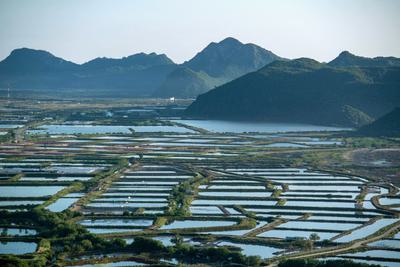 Shrimp farms in Prachuap Khiri Khan province in Thailand have displaced mangrove forests.