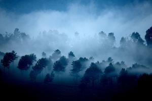 The Anamalai Hills in India's Western Ghats region, shrouded in mist.