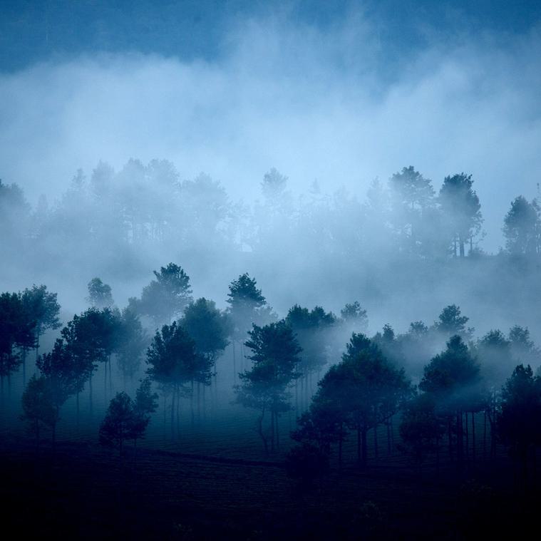 2020 Young Writers Awards