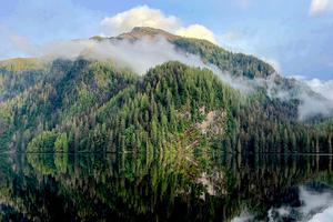 Tongass National Forest in Alaska.