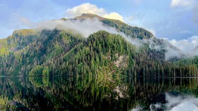 Tongass National Forest in Alaska.