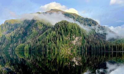 Tongass National Forest in Alaska.