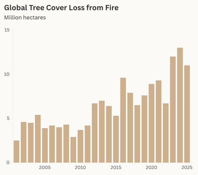 Includes areas where more than 30 percent of tree cover was lost. Source: Global Forest Watch.