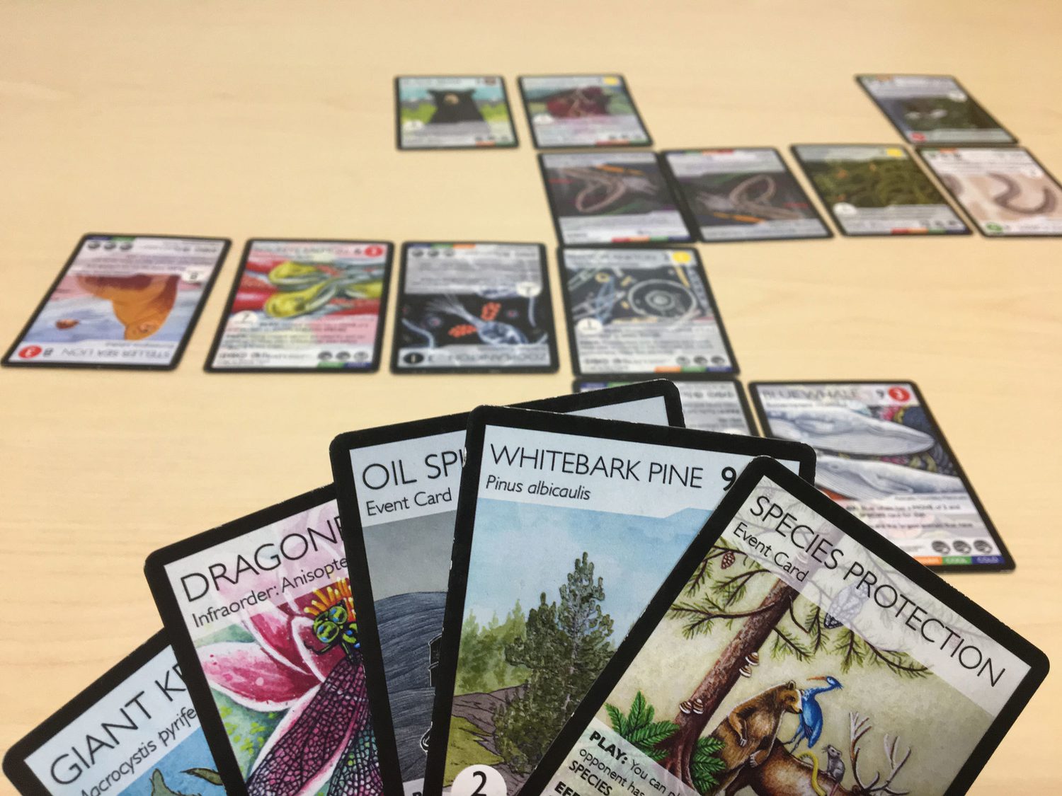 How a Pokmon-like Card Game Is Changing the Way People Learn About the Environment - Yale E360 How a Pokmon-like Card Game Is Changing the Way People Learn About the Environment - Yale E360