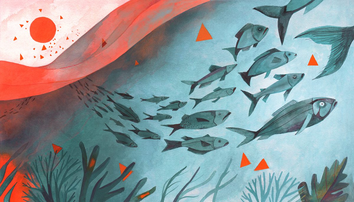 Feeling the Heat: How Fish Are Migrating from Warming Waters - Yale E360