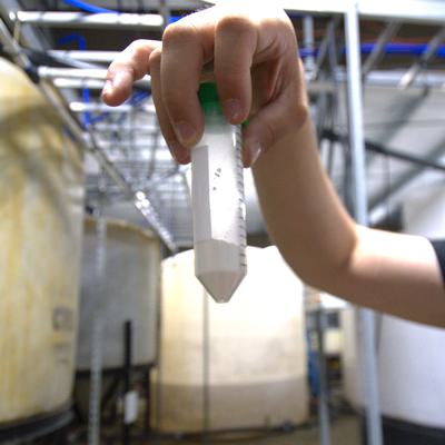 Left: Researchers at a pilot facility in Mount Storm, West Virginia, where rare earth minerals are separated from water draining from an abandoned coal mine. Right: Rare earths extracted by the process.